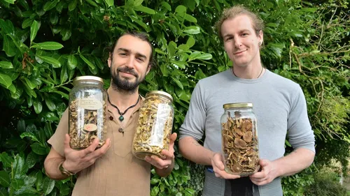 Des champignons bios et bretons, produits dans le Finistère